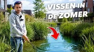 Zo VANG jij ALLE ROOFVISSEN in je EIGEN WOONWIJK!