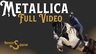 Metallica - FULL VIDEO || Gypsy x Friesian || Draft Cross