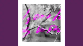 Uncover