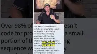 Misfolded Proteins from Gut to Brain! What We Don't Know!