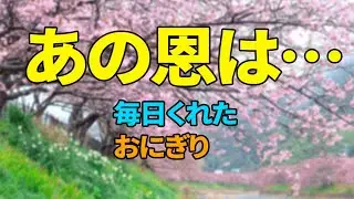 毎日くれたおにぎりの先輩と14年後に再会した結果