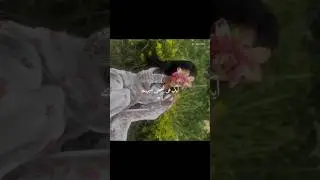 ✨🌸 Shayari, Poetry #lovestatus #urdupoetry WhatsApp Status #love #shorts