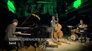 Sebastian Sternal / Larry Grenadier / Jonas Burgwinkel &mdash; 