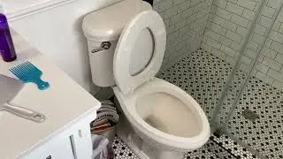 20-Inch Extra Tall Toilet || Convenient Height || Rowdydawg's Honest Reviews