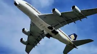 Best Sydney Airport Departures! - Heavy Takeoffs Planespotting | A380s B747s B777s A350s B787s