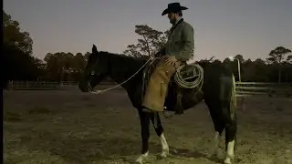 Pistol - Worked Through Some Sass