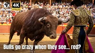 10 Wrong Myths about Animals that YOU GOT WRONG! Part 1 | Your Planet
