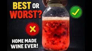 Can You Survive My Homemade Wine ?