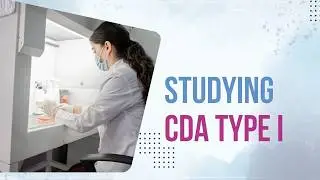 Studying CDA type I
