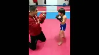 IMPRESIONANTE NI&Ntilde;O DEMUESTRA SUS HABILIDADES PARA EL BOXEO VIDEO ORIGINAL HD