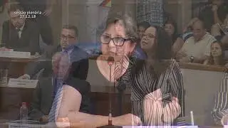 Conheça a Câmara | Como funciona o Legislativo