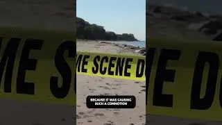 Mysterious Skull Discovered In New Jersey! #shorts