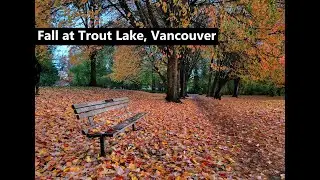 Fall at Trout Lake, Vancouver