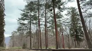 会津鉄道 AT401 風覧望 単行試運転 ③