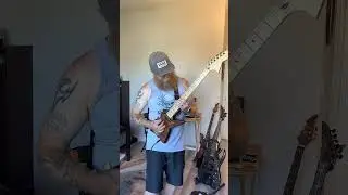SHRED BEARD @dmgshop7446 @seymourduncan @peavey@jimdunlopusa@MetalDadRocks@Reverb@sweetwater@inked