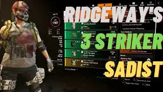 THE DIVISION 2- SADIST STRIKER AR BUILD