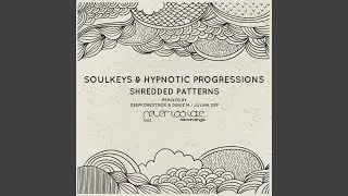 Shredded Patterns (DeepForestSide & Deniz M Remix)
