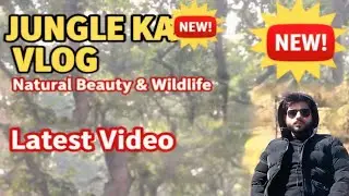 😨Jungle mein ye kya dekha?😨🥺restricted forest area explore. #HindiVlog#DesiVlog#JungleKiSair#forest 