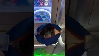 Marami kaya makuha at ma uwi ko?