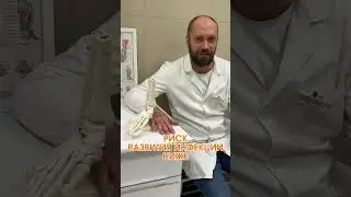Делайте операцию осенью!