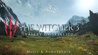 THE WITCHER 3 - Valley of Skellige | Relaxing Music Atmosphere