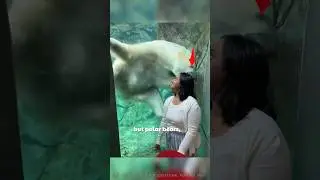 🐻 Grizzly = Angry 🐻&zwj;❄️ Polar Bear = Hungry
