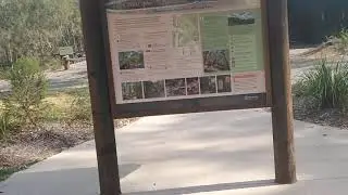 Yowie Bigfoot Hairyman Search