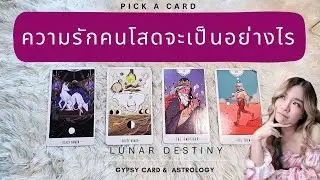 Ep.606 Pick a Card ความรักคนโสดจะเป็นอย่างไร