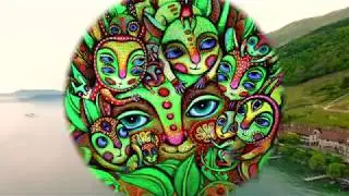 ♫★♫★♫★FollowTheRabbit★♫★♫★♫