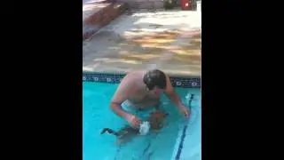Chewy swims loud