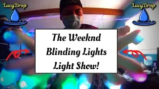 The Weeknd - Blinding Lights | LucyDrop Light Show