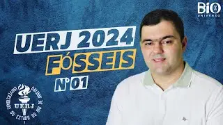 UERJ 2024 (2º EQ) - Questão 01 - Em Jurassic Park a vida de espécies extintas