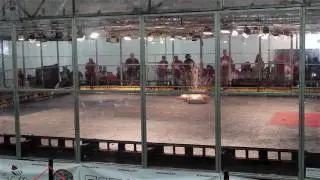 RG17 - Touro Maximus vs Whoops!