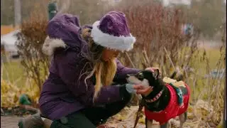 Markham Dog Alliance's Willow Wonderland 3.0 - Event Coverage