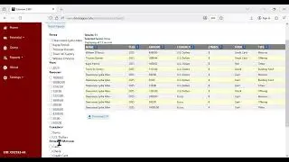 Dynamic Query   Payments