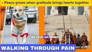 Walking Through Pain to Heal the World | A Monk&rsquo;s Powerful Journey