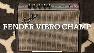 Fender 70's Vibro Champ Goodness!