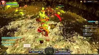 [DN+] River Ruins Royal chest location