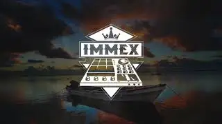 Immex - Mellowism