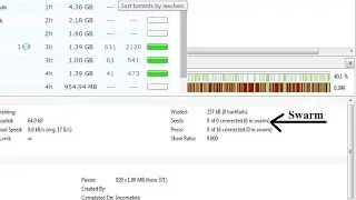 What is Leech in torrent ? _ What is Swarm in torrent ? _ in Hindi