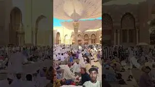 Islamic short#beautiful #madina #newnaath #love #islamicshort