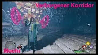 Verborgener Korridor 😲🌿 Hogwarts Legacy 🧪💕 I Episode 14.