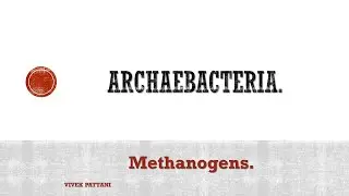 Archaebacteria Metabolism patterns.(methanogens)