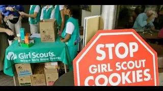 60 Creative DIY Girl Scout Cookie Booth Design Ideas