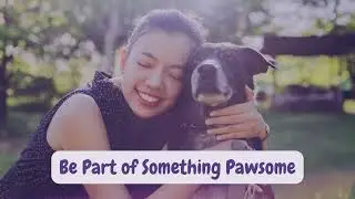 Celebrate International Dog Day | Unleash the Love and Joy of Our Furry Friends! 🐾