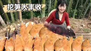全村人上山挖筍啦！一上午挖了300多斤野筍，又大又多太過癮了！ 【燕麥行遊】#Farm #tour
