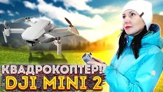 КВАДРОКОПТЕР DJI MINI 2 Обзор | Распаковка И Настройка