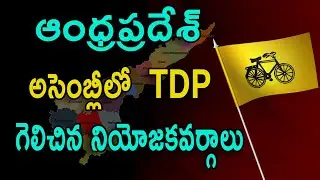 Just only 23 | TDP MLA winners LIST 2019 | AP Assembly Election 2019 Winners | NRI TV
