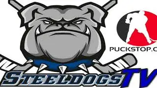 SteeldogsTV: Sheffield Steeldogs vs Hull Pirates February 23rd 2018