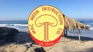 Surf Nazis, Flexy Flyers & Surfers - WindanSea Beach, La Jolla